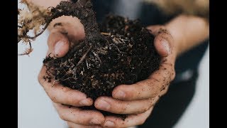 The Benefits of Humic Substances in Agriculture [upl. by Airdnaid395]