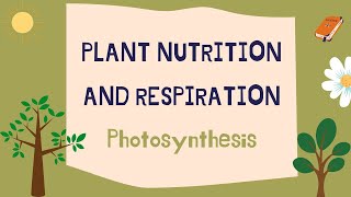 Plant nutrition and respiration Photosynthesis [upl. by Ebaj]