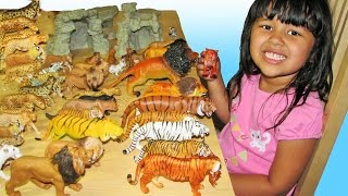 Big Cats My Entire Collection Schleich Safari Kids Toys ZOO Wildlife [upl. by Olra]