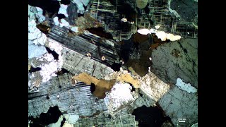 Thin section 2 [upl. by Atter]