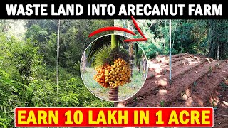 Turning Waste land Into Areca nut Farm  Areca Nut Planting Method  Areca nut Farming  Cultivation [upl. by Delaine]