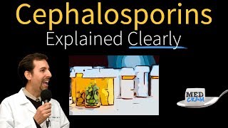 Cephalosporins  Antibiotics Explained Clearly [upl. by Namra]