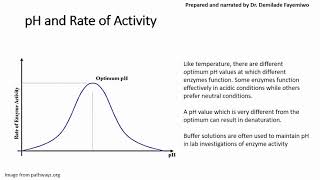 Chapter 32 Factors that Affect Enzyme Activity [upl. by Aniarrol714]