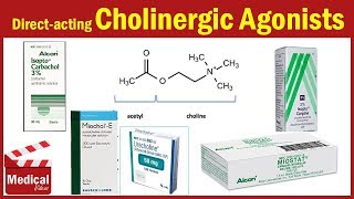 Pharmacology ANS 6 Direct Acting Cholinergic Agonists  Acetylcholine  Carbachol  Methacholine [upl. by Mariko]