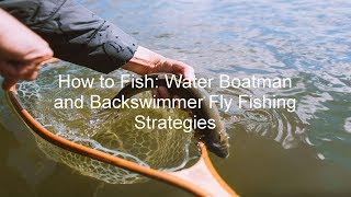 How to Fish Water Boatman and Backswimmer Fly Fishing Strategies  GoFishBC [upl. by Eiramaliehs]