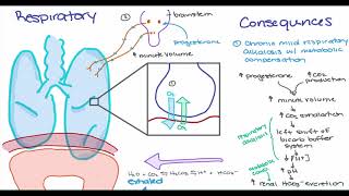 Maternal Changes in Pregnancy [upl. by Ecirtnuahs64]