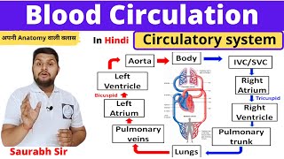 Blood circulation Circulatory system in Hindi Systemic and pulmonary circulation Nursing NEET [upl. by Anar]