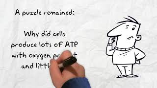 An Introduction to Enzyme Assays [upl. by Anabal422]