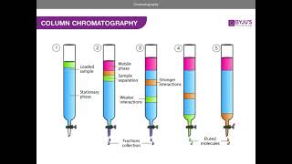 Chromatography AQA A level Chemistry [upl. by Leakcim]