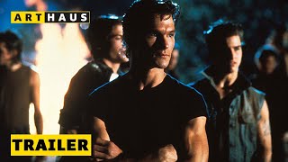 THE OUTSIDERS 4KRestaurierung  Trailer  Deutsch  Ab 1111 auf DVD Bluray UHD und digital [upl. by Girish325]