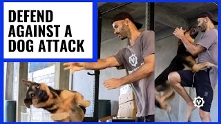 How to Defend Against Dog Attack [upl. by Rybma114]