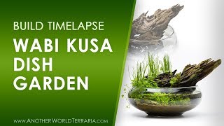 Wabi Kusa Dish Garden How I made it [upl. by Melia96]