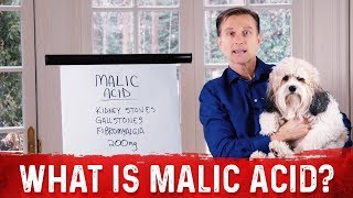 What Is Malic Acid amp Its Benefits – DrBerg [upl. by Enetsirhc419]