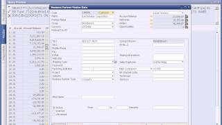 Creating a query in SAP Business One [upl. by Lunnete]