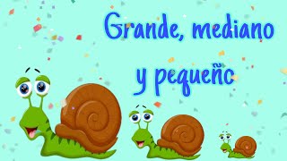 Cuento  Grande mediano y pequeño [upl. by Pamelina]