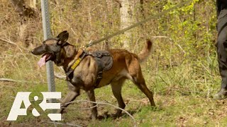 Live PD Best of K9 Officers  AampE [upl. by Ossy]