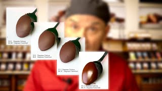 Tempering Chocolate The Seeding  Injection Method [upl. by Munmro697]