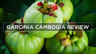 Garcinia Cambogia Weight Loss amp Side Effects  Review [upl. by Ezar]