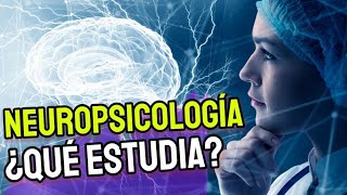 ¿QUE ES LA NEUROPSICOLOGIA bien explicado 🧠✅  neurociencias en psicologia [upl. by Ycrep]