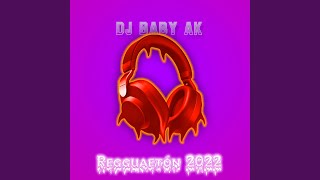 Reggaetón 2022  Dj Baby AK [upl. by German]