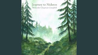 Journey to Nidaros [upl. by Pasadis873]