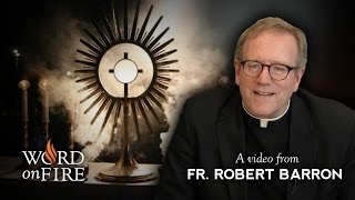 Bishop Barron comments on Eucharistic Adoration [upl. by Rosol153]