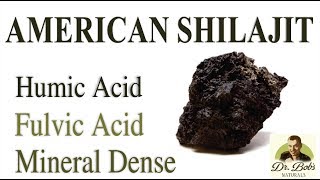 American Shilajit Understanding Humic and Fulvic Acids [upl. by Abbi]