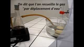 Recueillir un gaz par déplacement deau [upl. by Werdna]