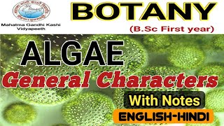 General Characteristics of AlgaeAlgae General FeaturesBSc 1st year [upl. by Corella556]