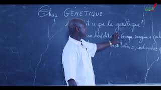 Cours  Terminale  SVT  Génétique  Introduction [upl. by Bev]