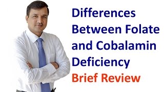 Cobalamin and Folate Deficiency  How to Differentiate Both [upl. by Aierb]