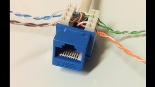 Connect Cat6 cable to Jack [upl. by Winebaum935]