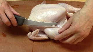 How To Cut Up a Whole Chicken [upl. by Emmalee]