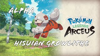 Alpha Hisuian GROWLITHE Arcanine  Location Pokémon Legends Arceus [upl. by Maroj]