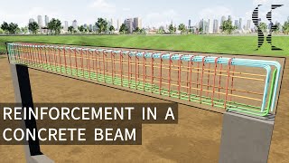 Typical Reinforcement in a Concrete Beam [upl. by Anayik]