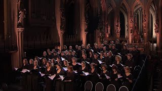 Barber  AGNUS DEI arr Adagio for Strings  Laurens Symfonisch  LIVE [upl. by Ahsiekim]