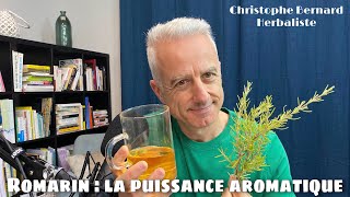 Romarin Rosmarinus officinalis  la puissance aromatique [upl. by Odom410]