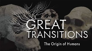 Great Transitions The Origin of Humans — HHMI BioInteractive Video [upl. by Aisat516]