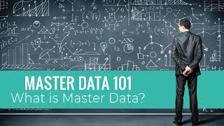 Master Data Examples [upl. by Nylehtak]