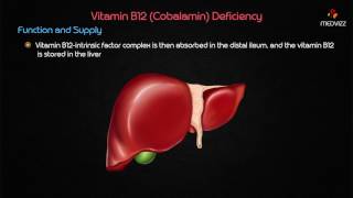 Vitamin B12 Deficiency  USMLE Biochemistry Case based discussion [upl. by Bartholemy]