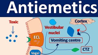 Antiemetics [upl. by Klein]