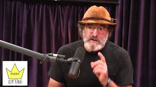 Paul Stamets telling Joe Rogan about the incredible benefits of Lions Mane mushrooms [upl. by Gretna]