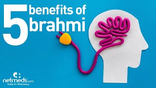 Top 5 Benefits Of Brahmi [upl. by Nessie833]