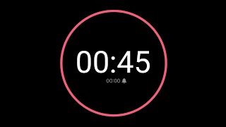 45 Second Countdown Timer  iPhone Timer Style [upl. by Kcirdot]