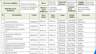 Como hacer un plan de auditoria interna iso 9001 [upl. by Darby69]