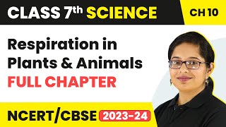 Respiration in Plants and Animals Full Chapter Class 7 Science  NCERT Science Class 7 Chapter 10 [upl. by Reames]