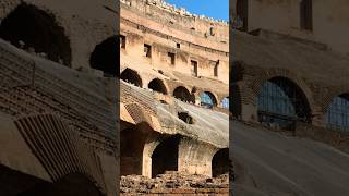 the colosseum in rome [upl. by Levison836]