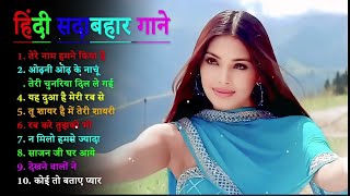 Dil Tera Deewana – Lily Matinez  Official Exclusive [upl. by Tnarg902]