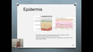 Transdermal Drug Delivery Systems Part1 [upl. by Alah]