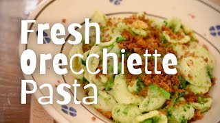 How to Make Fresh Orecchiette Pasta  Classic Italian Pasta Recipes [upl. by Pearce]